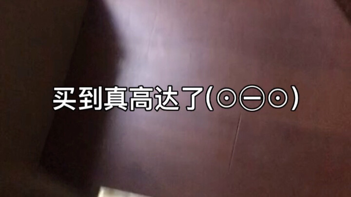 买到真高达了🤓👆