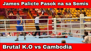 Brutal knockdown by James Palicte | 31st Southeast Asian Games