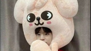 เมนูเทพฉบับลูกสุนัขทองคำตาปริบๆ ถอยหลังอย่างเงียบๆ