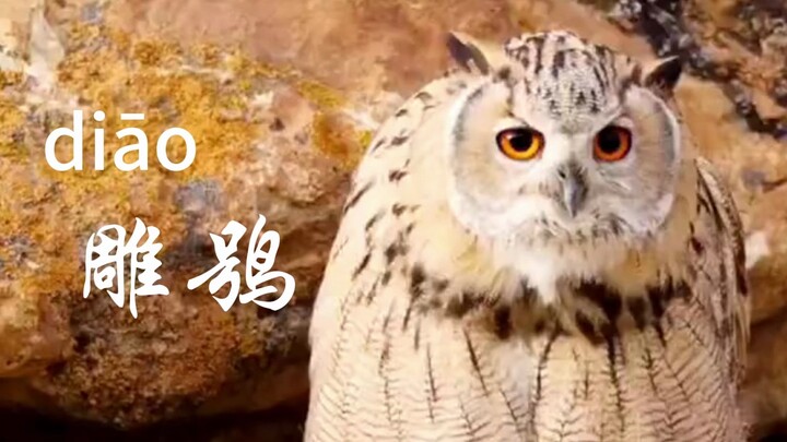 “Clueless and slow during the day, a fierce ghost by night”