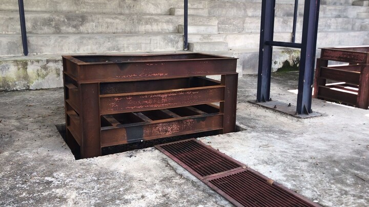 Peaceful Green Escape | Beautiful Jungle Scenery