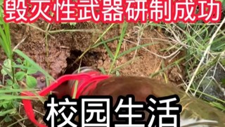 The main theme is just listening to advice!