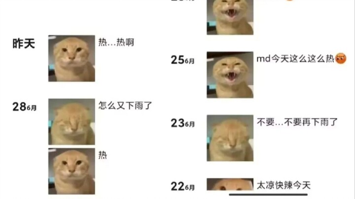 这种男生怎么追