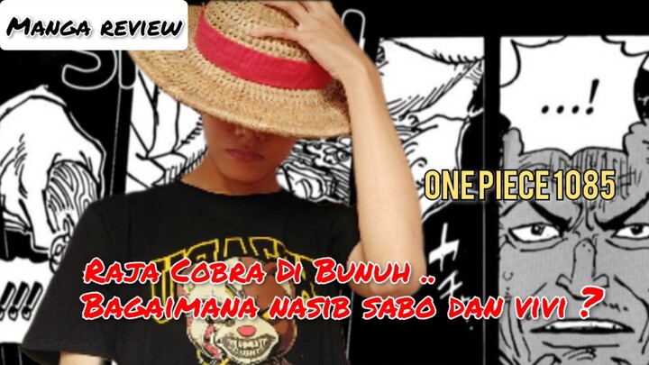 One Piece 1085 Review