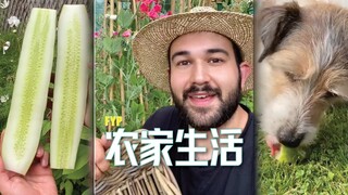 لقد كنت أفكر في هذا النوع من الحياة في المزرعة😘🥹