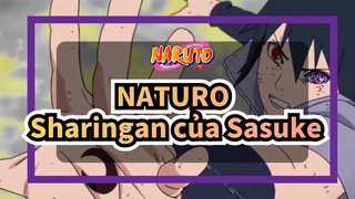 NATURO| Sharingan của Sasuke đến từ đâu？
