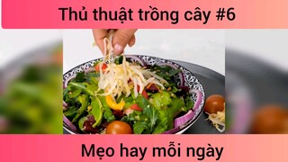 Mẹo thủ thuật trồng cây p6