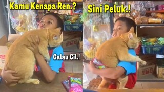 LUCU BANGET.!😂 Kucing Oren Galau Minta Digendong Bocil Karena Habis Diselingkuhin