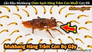 Lần Đầu Mukbang Ấu Trùng Chén Sạch Hàng Trăm Con Bọ Gậy Cực Đã || Review Giải Trí Đời Sống