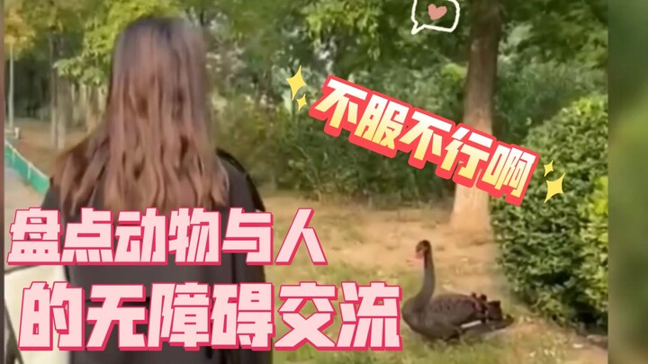 Điểm lại những cách giao tiếp không rào cản giữa con người và động vật, thật tài tình!