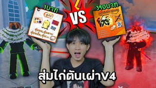 สุ่มไก่ตันเผ่าV4 1บาท VS 390บาท จะต่างกันแค่ไหน!? Blox Fruits