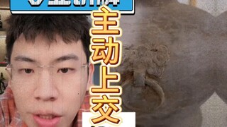 主 动 上 交，拿 个 奖 状