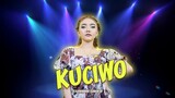 Syahiba Saufa - KUCIWO | Koplo (Official Music Video)