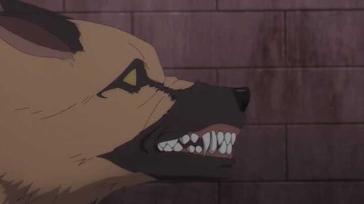 Even dogs afraid on her😆