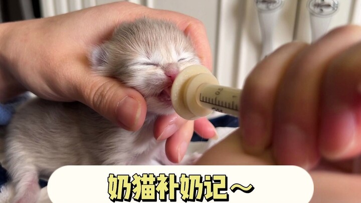 There is a kind of hunger that grandpa thinks you are hungry