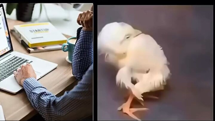 #pubgmnextstarprogram #pubgmobile #foryou