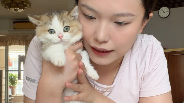 Bảng chi tiết lương tháng 4 của Mèo con đã có! Nếu mọi người thích, mình sẽ đồng bộ các video trước 