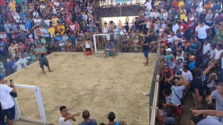 1st fight loss