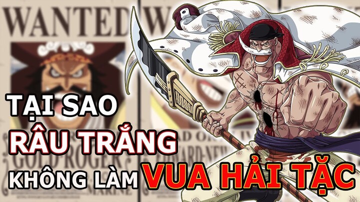 Giải đáp tại sao Râu Trắng không làm Vua Hải Tặc | Sự thật về kho báu của Edward Newgate
