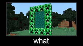 Minecraft wait what meme part 3