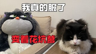 ฉันโกรธมาก มันเป็นอาชญากรรมของทีม