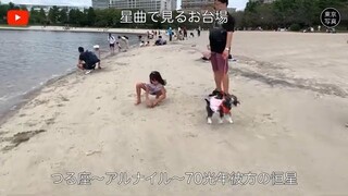 1371【お台場】第3映像｜東京写真