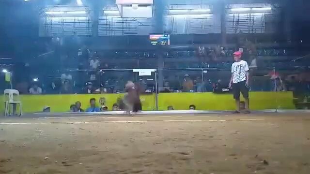 2nd fight . jv cockpit rosario batangas  (champion) 2 hits ulutan