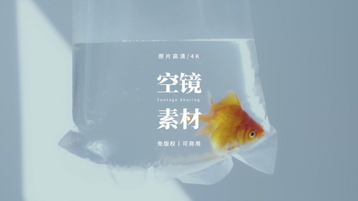【免版权空镜】“Count the days ”