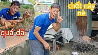 Màng trả đũa của Tư Hà Nói không nên lời