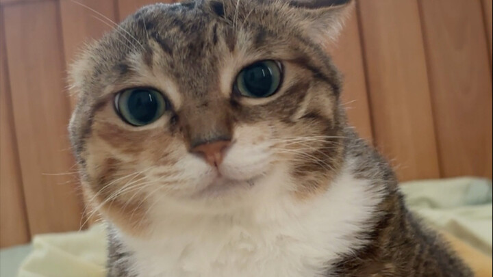 再碰我咬死你😡😡😡