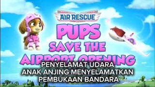 Paw Patrol Musim 11 Episode 6 Subtitle Indonesia