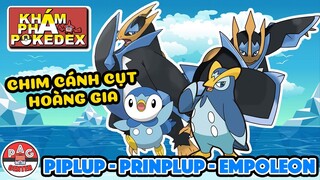 Piplup - Prinplup - Empoleon: Chim Cánh Cụt Hoàng Gia của Pokemon | Khám Phá Pokedex | PAG Center