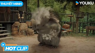 [HOTCLIP] Hợp Lực Tiêu Diệt Yêu Quái Nhím | Dân Gian Kỳ Dị Chí  | Phim Lẻ YOUKU