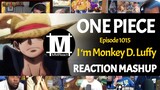 I'm Monkey D. Luffy | One Piece Ep. 1015 | REACTION MASHUP