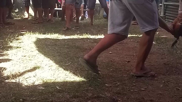 brown red on the move 😁