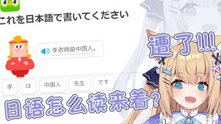 【三分钟看猫猫】国籍存疑大橘猫