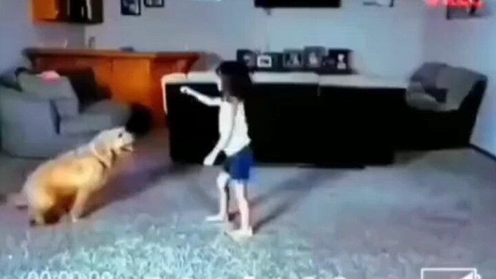 No need to watch the kids anymore, and no need to walk the dog either.