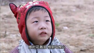 从没见过如此聪明的小男孩