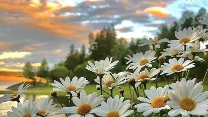 Thiên nhiên nhé quý dị ♡•[ Yuki _ chan]•♡