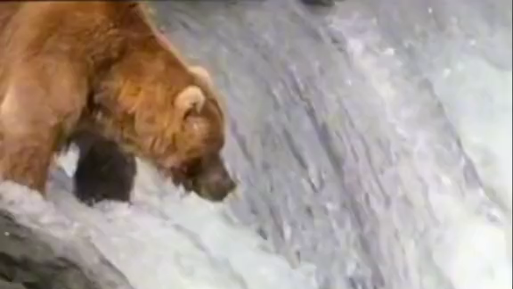 xịn xò