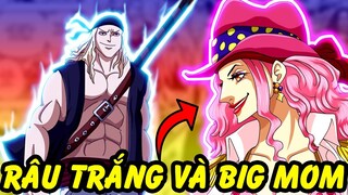 Thời Trẻ Của Các Tứ Hoàng Đã Như Thế Nào | Sự Thật Thú Vị Trong One Piece