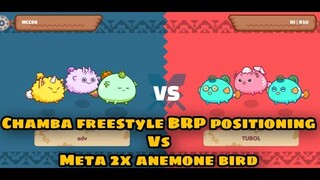BRP gameplay VS Meta Double Anemone + Bird