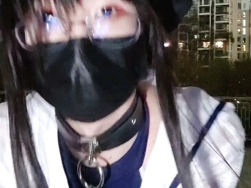 园游记