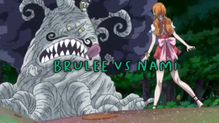 Brulee VS Nami