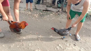 Dayo Spar Black hennie bago e tari ngayong January