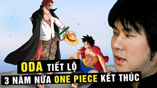 Tác giả Oda tuyên bố muốn One Piece 3 năm nữa sẽ Kết Thúc , Kế hoạch Final Saga có khả thi không ?