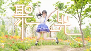 跳舞永远都是件开心的事  BDF2023✨聚光✨全曲翻跳
