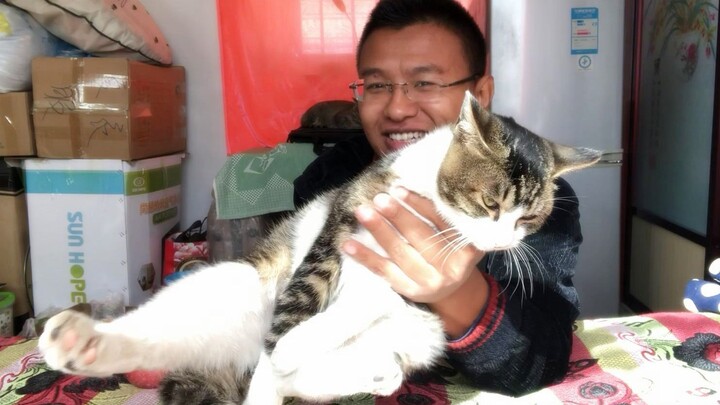 A cat that went flirting yesterday finally came back to work today!