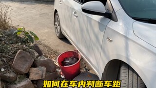 New drivers lack a good sense of the car. Afeng shares several tips on how to improve your driving e