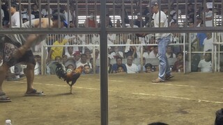 2nd fight WIN orion coliseum 5/7/25